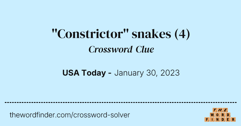 ''Constrictor'' snakes crossword clue image