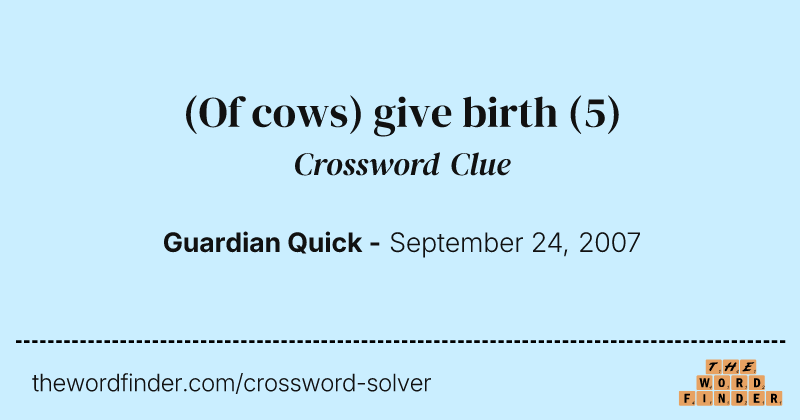 (Of cows) give birth crossword clue image