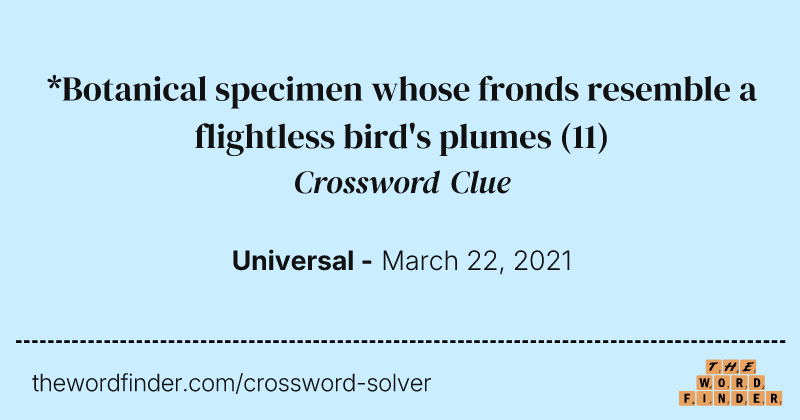 *Botanical specimen whose fronds resemble a flightless bird's plumes crossword clue image