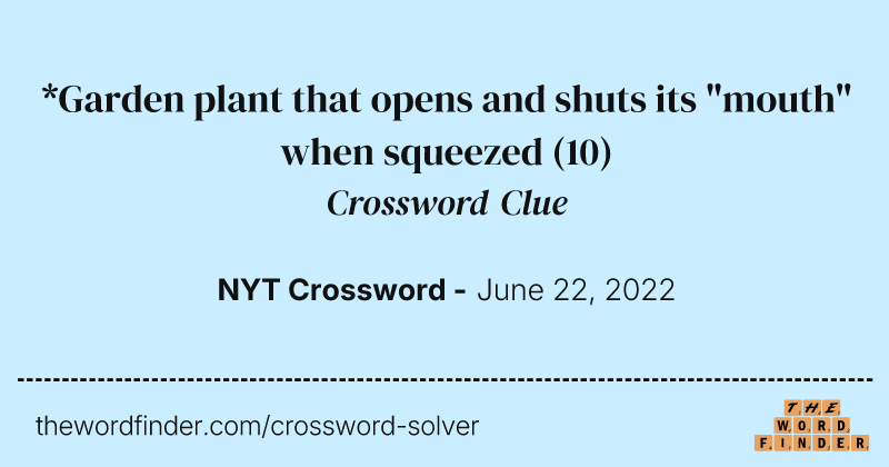 *Garden plant that opens and shuts its "mouth" when squeezed crossword clue image