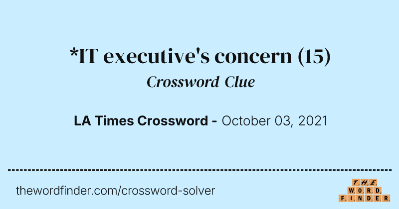 *IT executive's concern crossword clue image