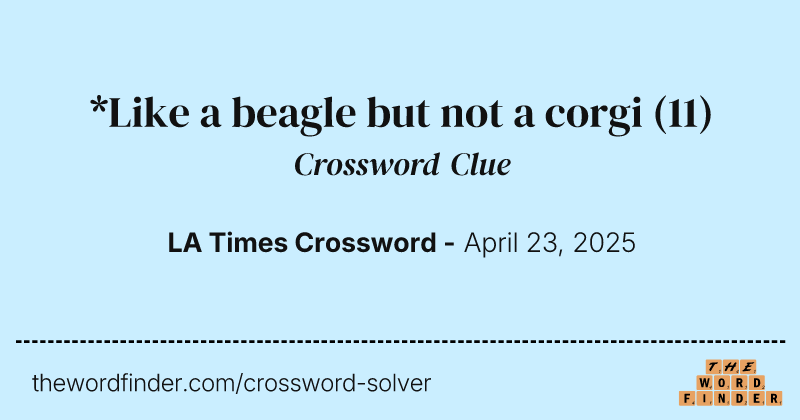 *Like a beagle but not a corgi crossword clue image