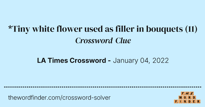 *Tiny white flower used as filler in bouquets crossword clue image