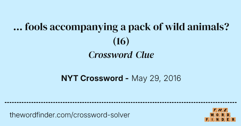 ... fools accompanying a pack of wild animals? crossword clue image