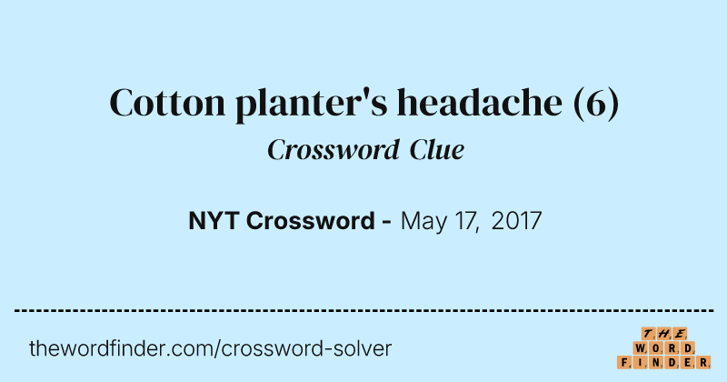 Cotton planter's headache crossword clue image