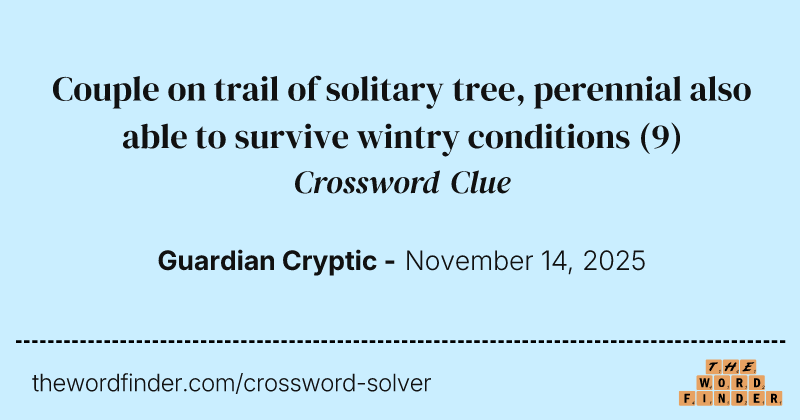 Couple on trail of solitary tree, perennial also able to survive wintry conditions crossword clue image