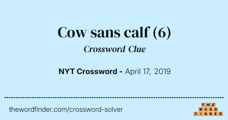 Cow sans calf crossword clue image