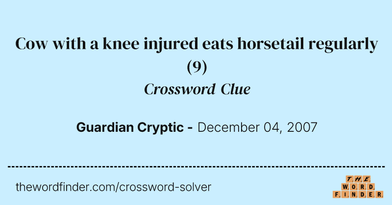 Cow with a knee injured eats horsetail regularly crossword clue image