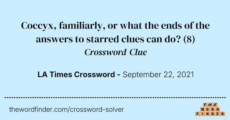 Coccyx, familiarly, or what the ends of the answers to starred clues can do? crossword clue image