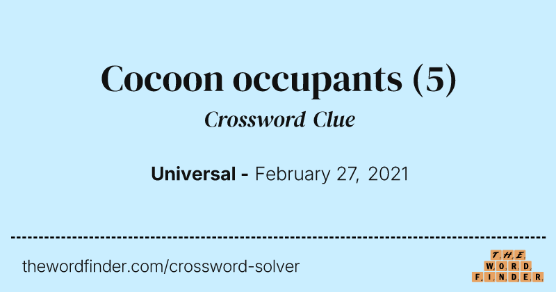 Cocoon occupants crossword clue image