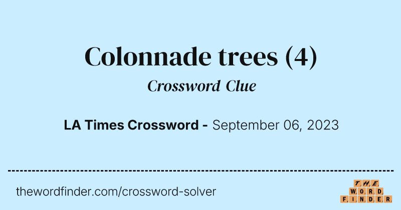 Colonnade trees crossword clue image