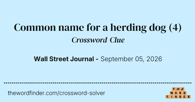 Common name for a herding dog crossword clue image