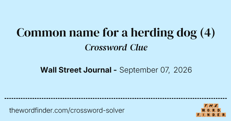 Common name for a herding dog crossword clue image