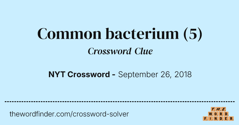 Common bacterium crossword clue image