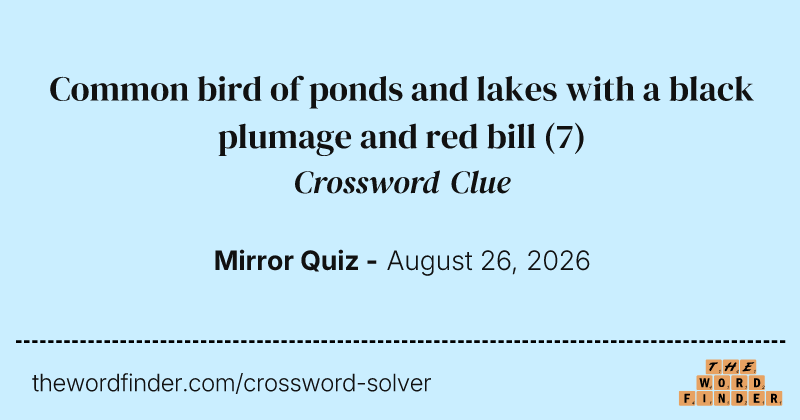 Common bird of ponds and lakes with a black plumage and red bill crossword clue image