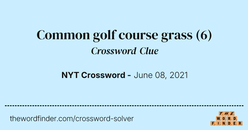 Common golf course grass crossword clue image