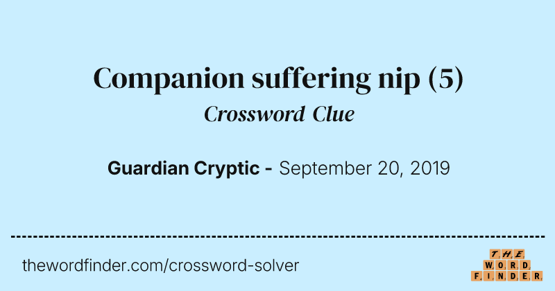 Companion suffering nip crossword clue image