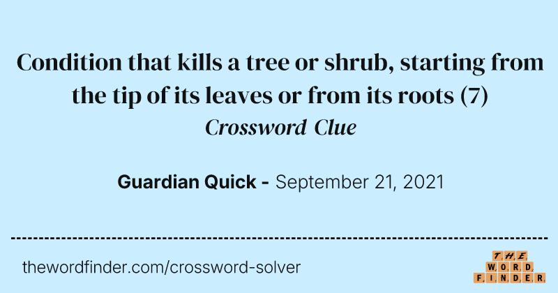 Condition that kills a tree or shrub, starting from the tip of its leaves or from its roots crossword clue image