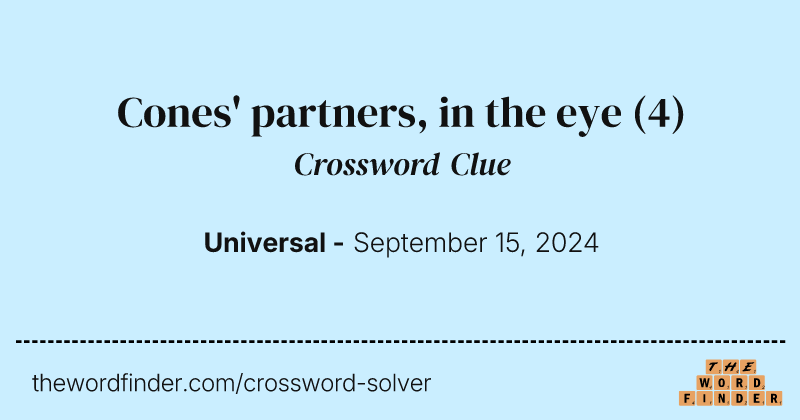 Cones' partners, in the eye crossword clue image