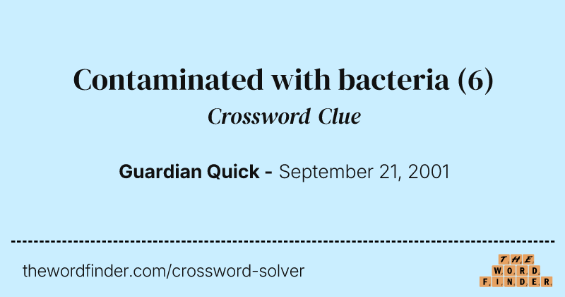 Contaminated with bacteria crossword clue image
