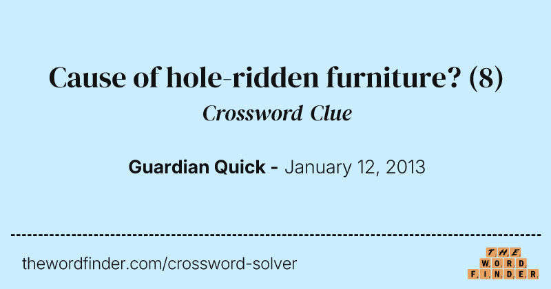 Cause of hole-ridden furniture? crossword clue image
