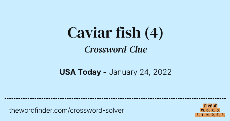 Caviar fish crossword clue image