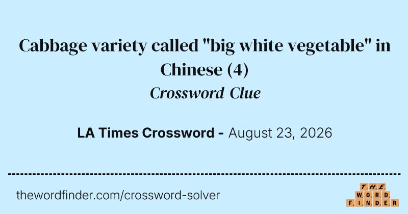 Cabbage variety called "big white vegetable" in Chinese crossword clue image