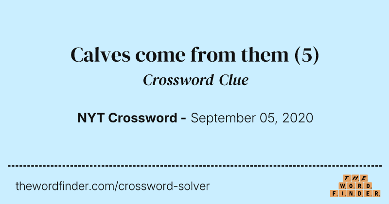 Calves come from them crossword clue image