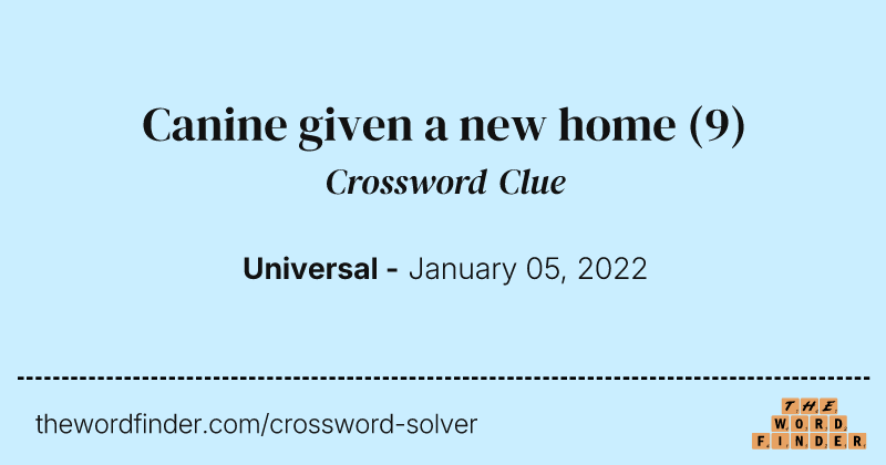 Canine given a new home crossword clue image