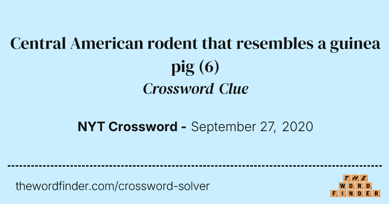 Central American rodent that resembles a guinea pig crossword clue image