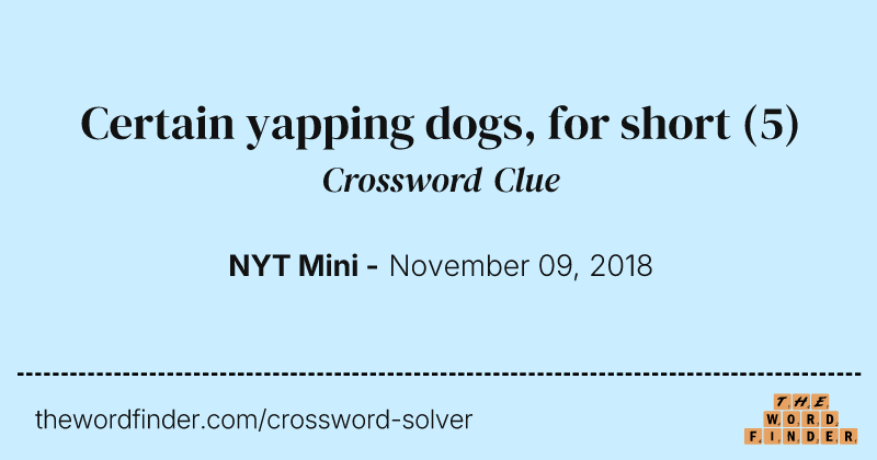 Certain yapping dogs, for short crossword clue image