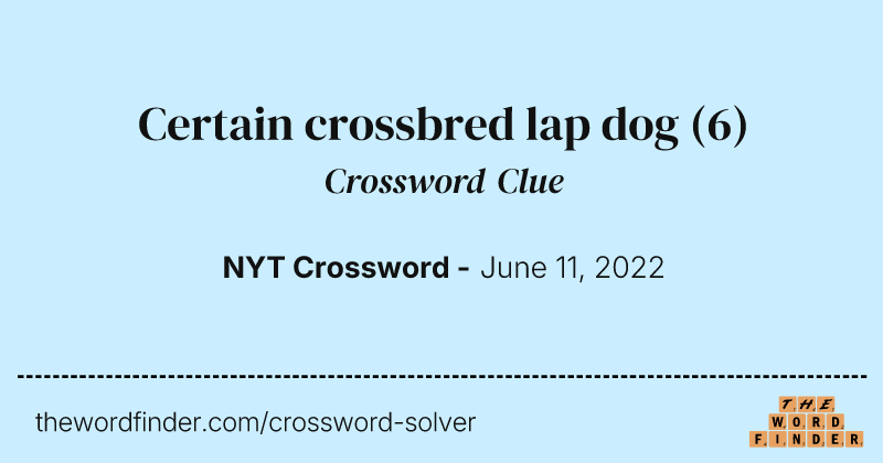 Certain crossbred lap dog crossword clue image