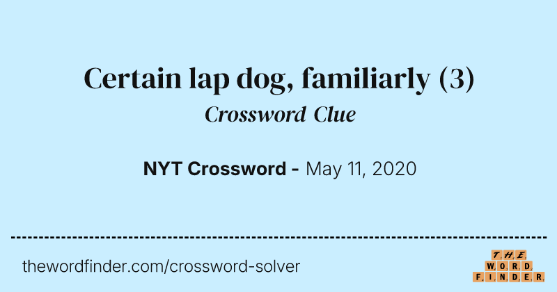 Certain lap dog, familiarly crossword clue image
