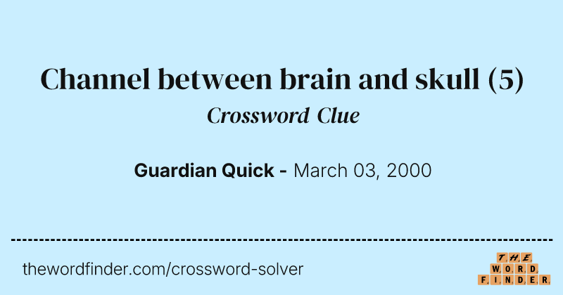 Channel between brain and skull crossword clue image