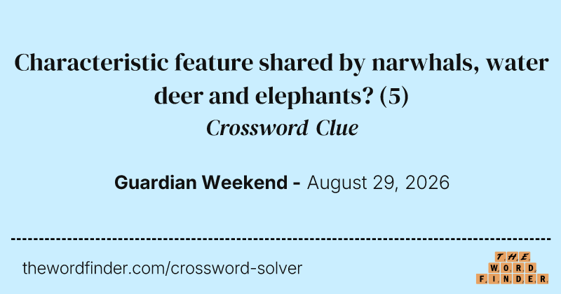 Characteristic feature shared by narwhals, water deer and elephants? crossword clue image