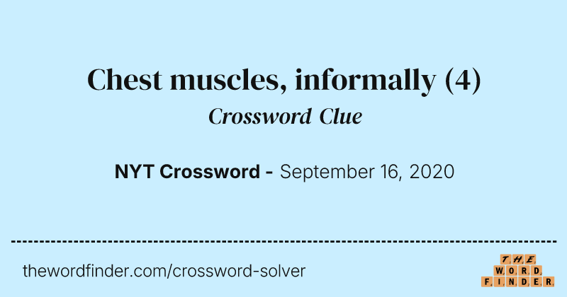 Chest muscles, informally crossword clue image