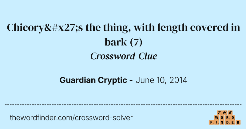 Chicory's the thing, with length covered in bark crossword clue image