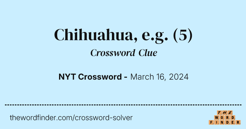 Chihuahua, e.g. crossword clue image