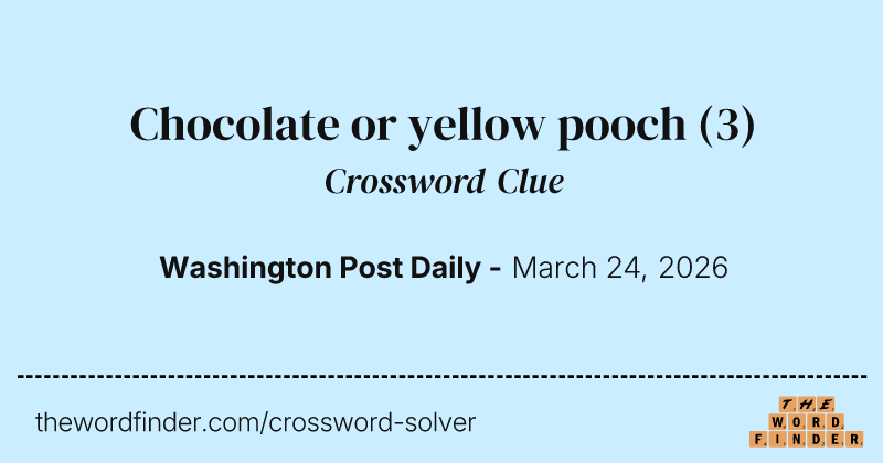Chocolate or yellow pooch crossword clue image