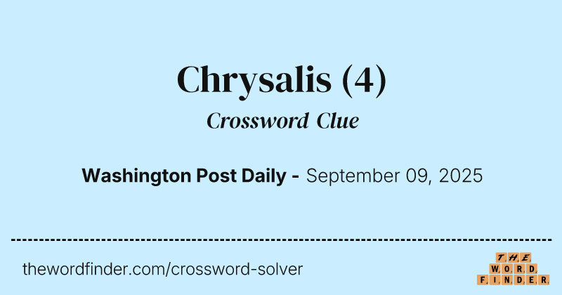Chrysalis crossword clue image