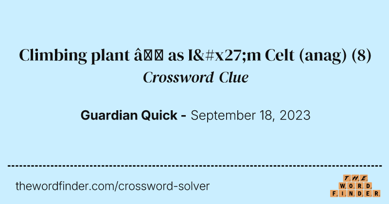 Climbing plant — as I'm Celt (anag) crossword clue image
