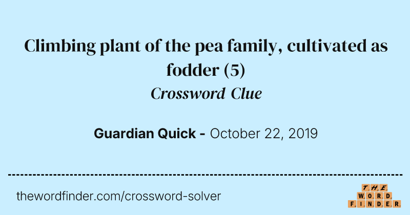 Climbing plant of the pea family, cultivated as fodder crossword clue image