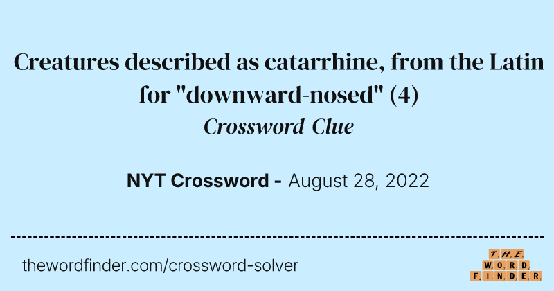 Creatures described as catarrhine, from the Latin for "downward-nosed" crossword clue image