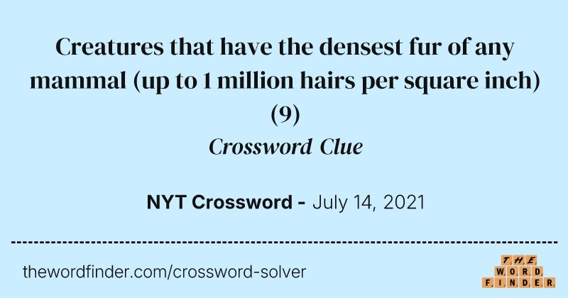 Creatures that have the densest fur of any mammal (up to 1 million hairs per square inch) crossword clue image