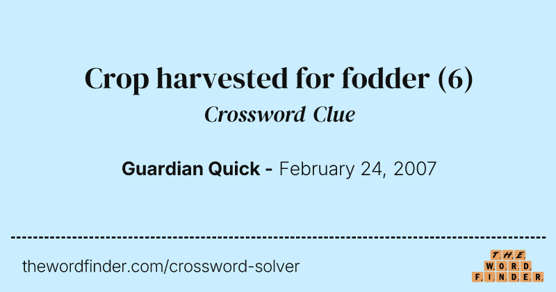 Crop harvested for fodder crossword clue image
