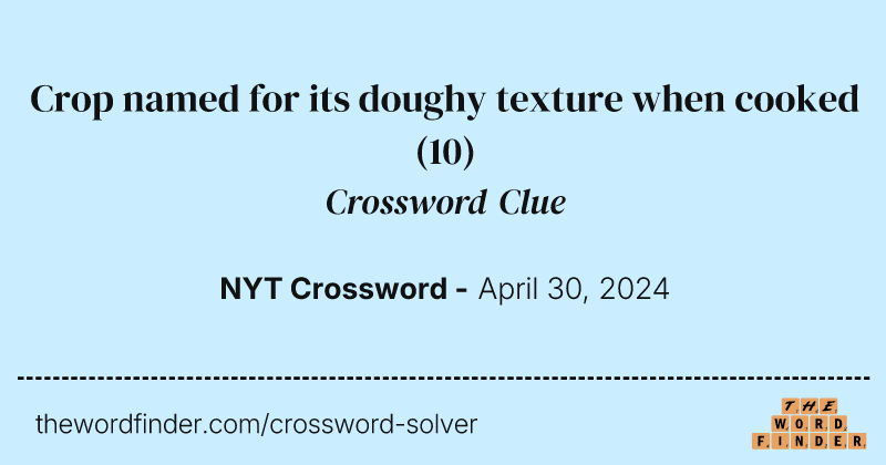 Crop named for its doughy texture when cooked crossword clue image