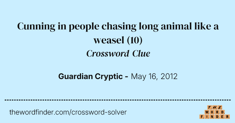 Cunning in people chasing long animal like a weasel crossword clue image