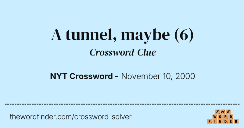 A tunnel, maybe crossword clue image