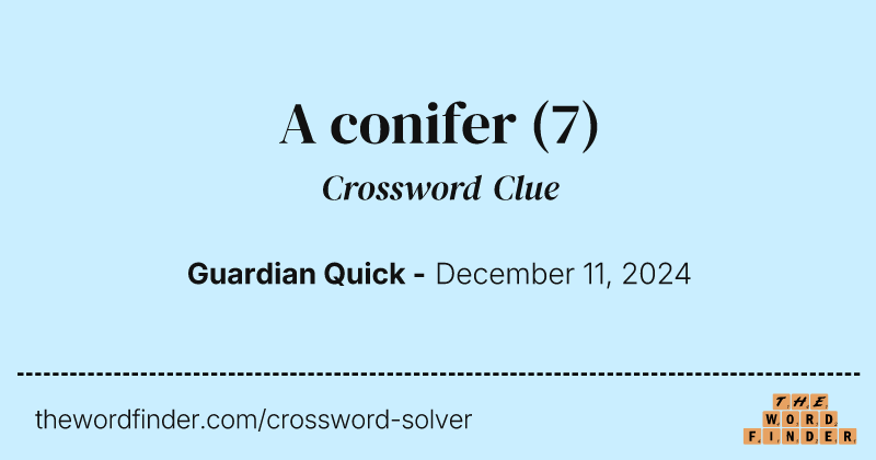 A conifer crossword clue image