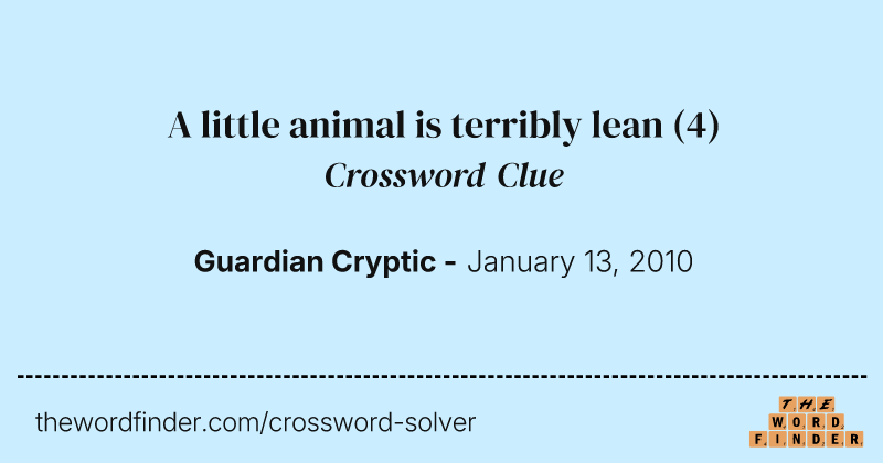 A little animal is terribly lean crossword clue image